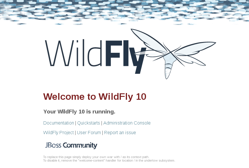 images/wildfly.png